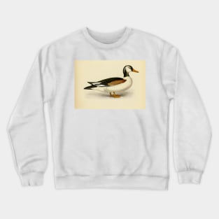 Vintage Duck Painting Crewneck Sweatshirt